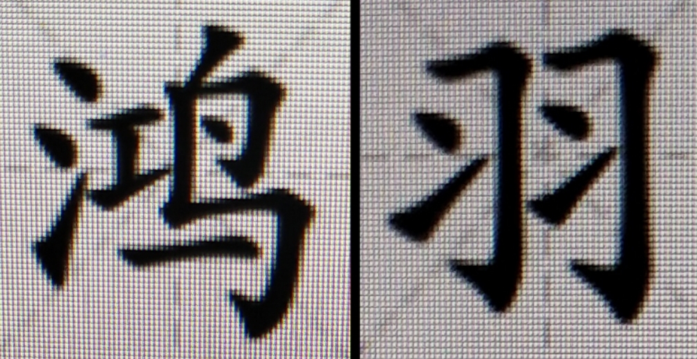 鸿羽护肤中心