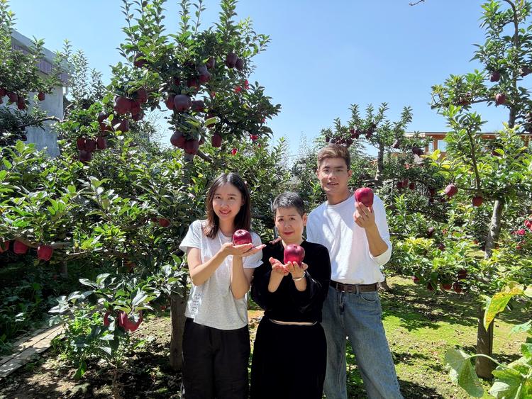 菲姐鲜果
