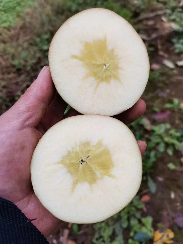 昭通市昭阳区洒渔镇雷影水果店的小店