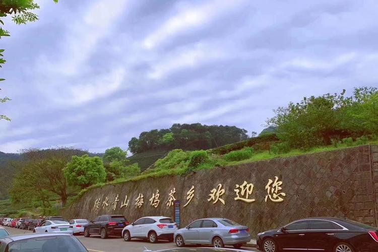 杭州玉家堂茶叶有限公司的小店