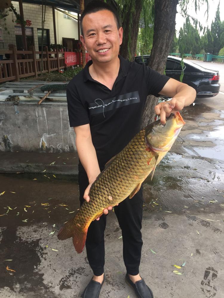 小浪底虎哥鱼店个体店