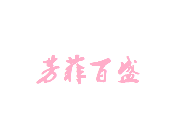 芳菲百盛服装店
